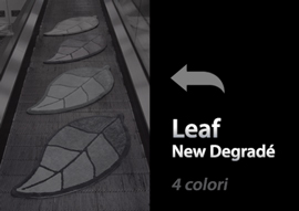 Leaf New Degradé