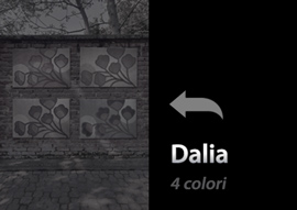 Dalia