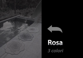 Rosa